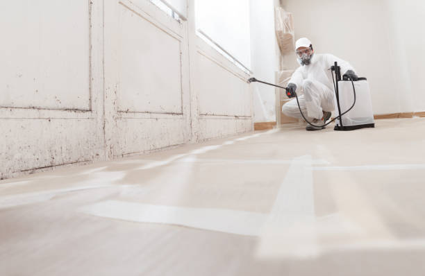 24/7 Emergency Bathroom Mold Removal experts in Nolensville, TN